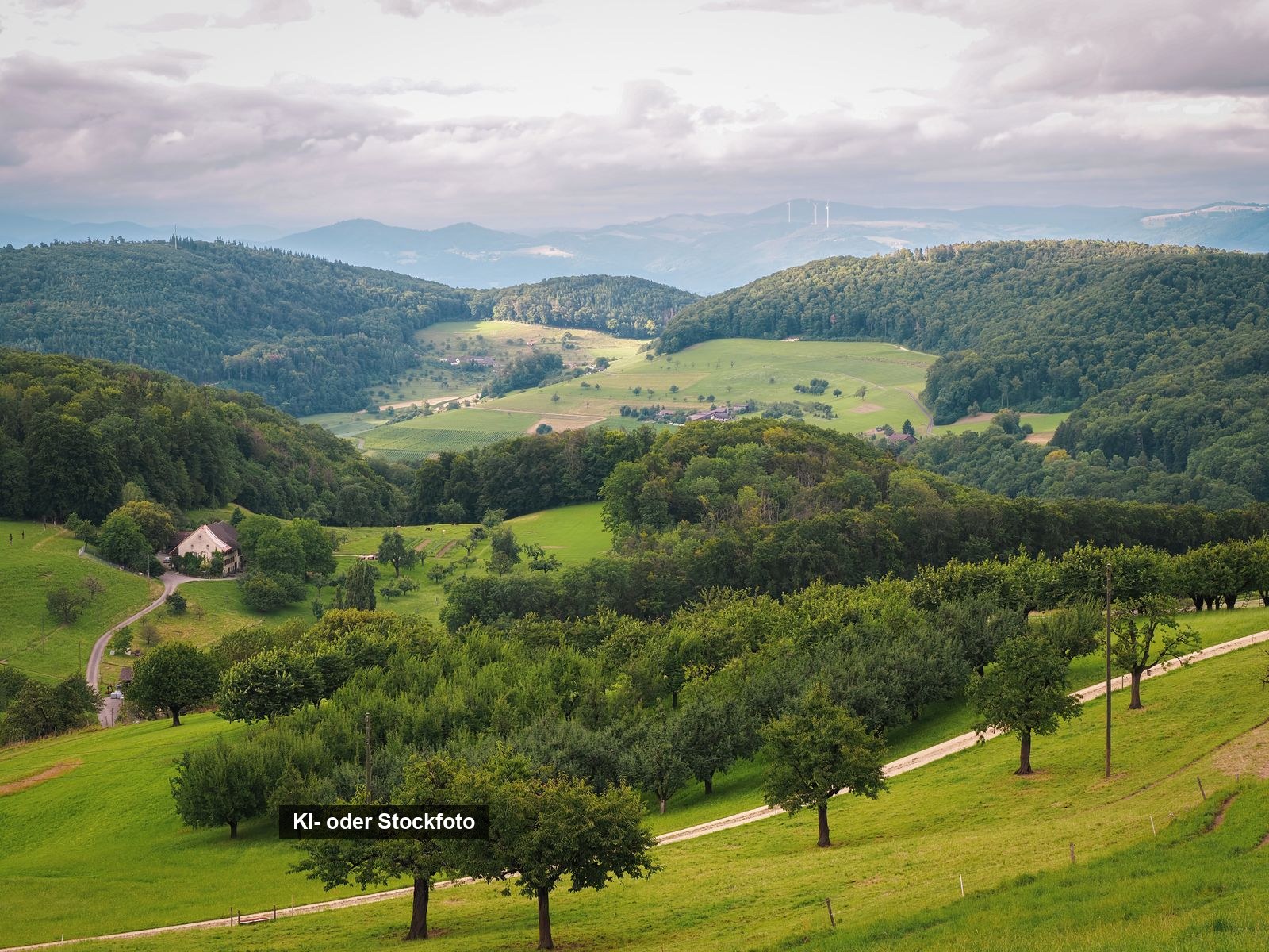 Bewaldete Hügel und grüne Wiesen einer Mittelgebirgslandschaft