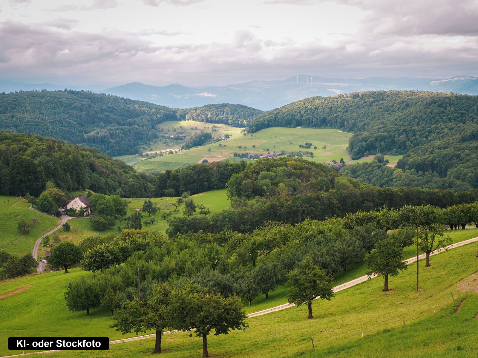 Bewaldete Hügel und grüne Wiesen einer Mittelgebirgslandschaft